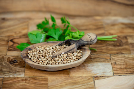 Seeds of coriander Coriandrum sativum on olive woodの写真素材