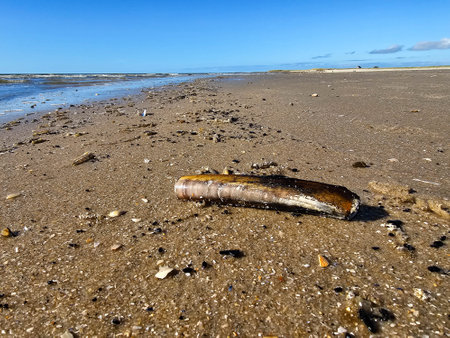 at the beach of Blavand in Denmark