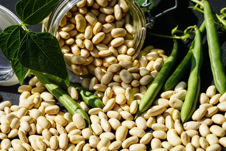 Dried pulses are a popular staple foodの写真素材