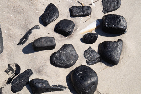 dried couscous on olive woodの写真素材