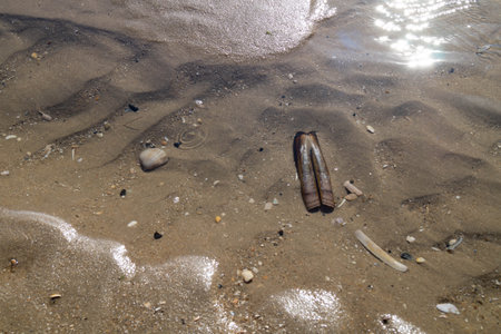 at the beach of Blavand in Denmark