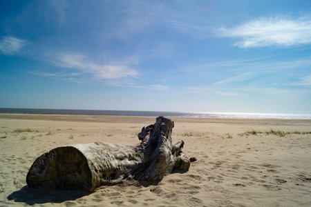 at the beach of Blavand in Denmarkの写真素材