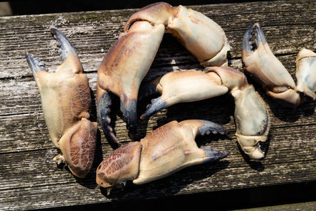 at the beach of Blavand in Denmarkの写真素材