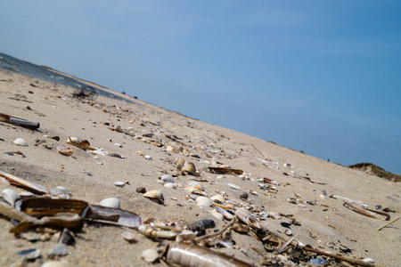 at the beach of Blavand in Denmark