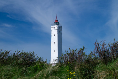 at the beach of Blavand in Denmarkの写真素材