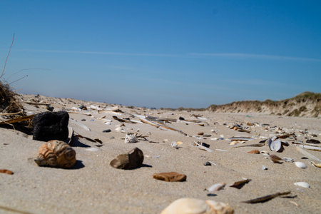 at the beach of Blavand in Denmark