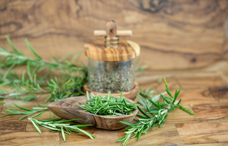 Rosemary Salvia rosmarinus on olive wood