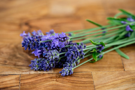 Fresh lavender Lavandulaの写真素材