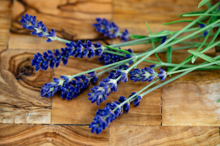 Alternative medicine with Fresh lavender Lavandulaの写真素材
