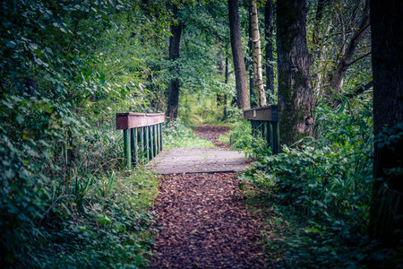 Hiking trail around the large lake