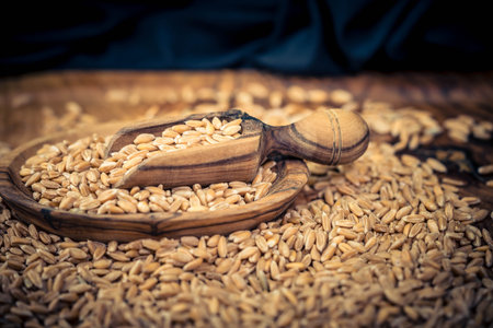 Grain and flour on olive woodの写真素材