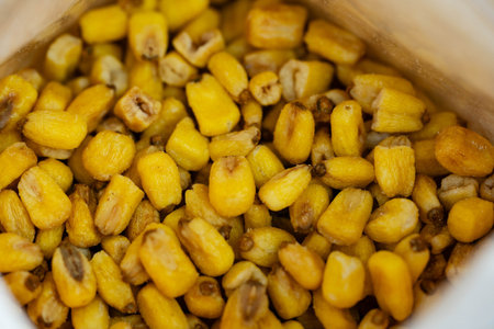 the yellow corn Zea mays with sea saltの写真素材