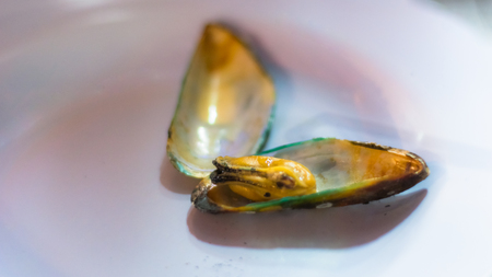 open green thai mussel on white backgroundの写真素材