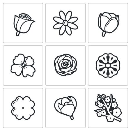 Vector Isolated Flat Icons collection on a white background for designのイラスト素材