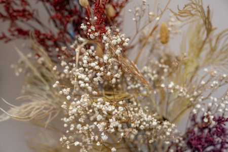 Beautiful flowers dried on a white background. close-up.の写真素材