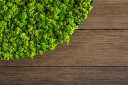Green decorative soft moss for interior decoration. Decorative materials on the wall. Green artificial moss.の写真素材
