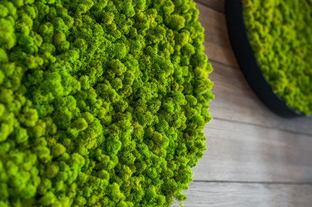 Green decorative soft moss for interior decoration. Decorative materials on the wall. Green artificial moss.の写真素材