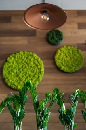 Green decorative soft moss for interior decoration. Decorative materials on the wall. Green artificial moss.の写真素材