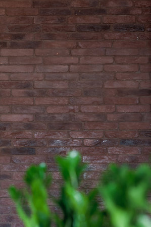 Green natural vase indoors for decoration on brick wall background. Background with greenery and red brick wallの写真素材