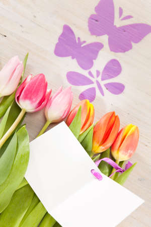 Tulips and butterflies as harbingers of springの写真素材
