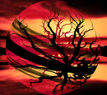 This is a manipulation on a Global Warming theme it started out as a photograph of a dead tree at dawn          の写真素材