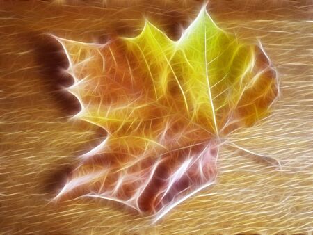 This is a shot of an Autumn leaf on a wooden table which was then manipulated                                の写真素材