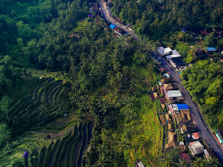 top view of the road passing through the village and rice fieldsの写真素材
