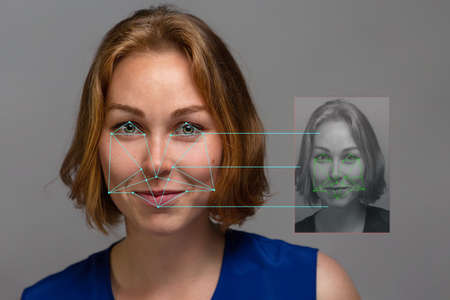 Portrait of a young beautiful red hair woman on a grey background with mini-portrait. Biometric...