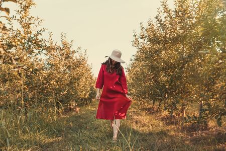 Portrait of a woman in the garden. A young and beautiful woman in a red dress and a straw hat walks through the orchard. Hot weatherの写真素材