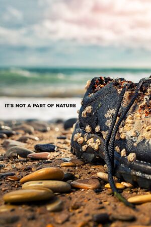Concept of environmental protection and pollution. An old Shoe covered with shells lies on the coast...
