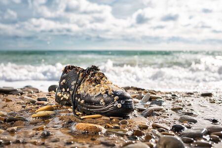 Concept of environmental protection and pollution. An old Shoe, covered with shells, lies on the shore. In the background, the waves of the ocean. Copy spaceの写真素材