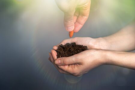 Women's hands hold the fertile ground in which men's hands put grain. The concept of IVF, fertility...