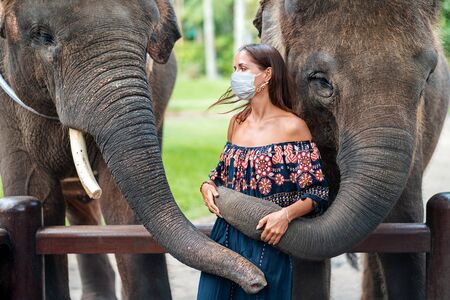 Covid-19. Portrait of a young woman in a medical mask posing with two elephants. The concept of travel during a pandemic, virus protection. Asia.の写真素材
