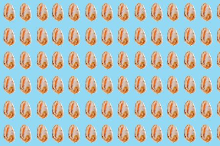 Collage of modern art. A repeating pattern of small seashells on a blue background.