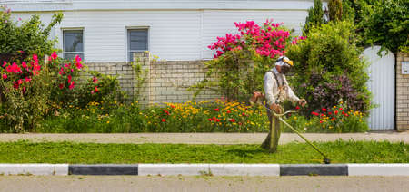the gardener finishes mowing the lawn trimmer on the background of the fence with flowers.