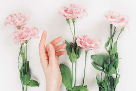 A delicate female hand lies with the flowers of the pink eustoma. Flat lay. White background. The concept of natural beauty.の写真素材