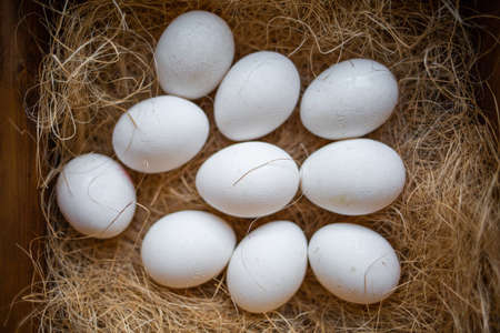 Eco-product. A wooden box of hay containing a ten white eggs. View from the top. Close up. Flat lay....
