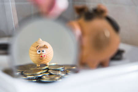 the concept of increasing the accumulation of funds. in the magnifying glass is a small toy pig and a scattering of coins on the gas stove.の写真素材