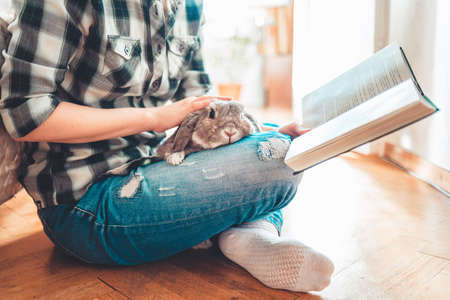 A person is sitting on the floor, holding a rabbit on her lap and reading a book. Close up. Concept of reading and education.の写真素材