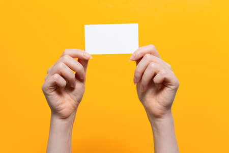 Woman's hands hold a white card. Close up. Yellow background. Mock up.の写真素材