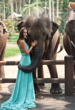 a girl in a turquoise dress and a smile on her face touches a big elephant.の写真素材