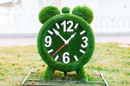 Landscape design. Green alarm clock made of artificial grass. The concept of time management.