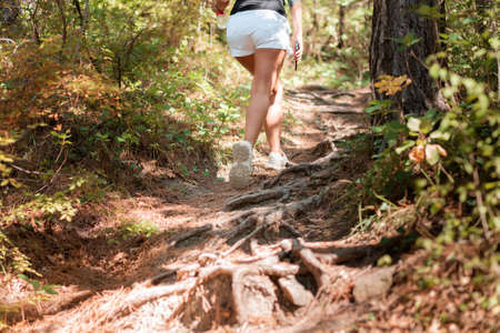 A young woman walks through the forest. Legs close-up close-up. Rear view. Active recreation. Tree roots in the foreground.の写真素材