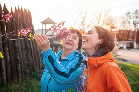 Portraits of a smiling grandmother and granddaughter sniffing a branch of lilac. Springtime.の写真素材