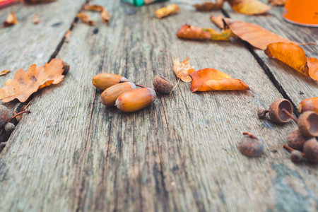 Autumn decor. Scattered acorns and yellowed leaves on a vintage wooden background. Copy space. Close up.の写真素材