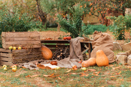 Autumn vegetable garden with seasonal decoration for the harvest festival and Halloween. Nobody.の写真素材