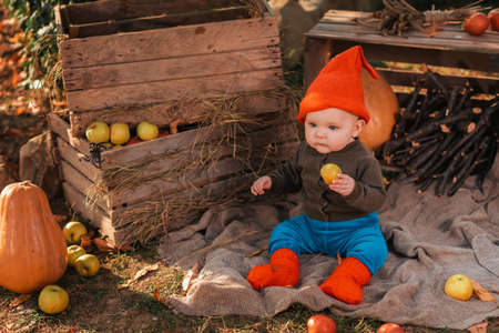 Baby boy in costume of dwarf sitting in kitchen-garden with apples. Halloween and harvest holiday.の写真素材