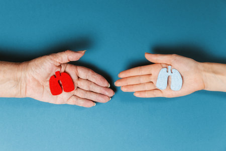 Elderly and young hands holds a silhouette of sick and healthy lungs cut out of felt. Close up. Flat lay. The organ donation concept.の写真素材