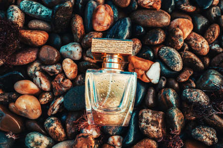 International Fragrance Day. A golden transparent perfume bottle on a wet pebble beach. Close-up, top view. Perfume advertising concept.の写真素材