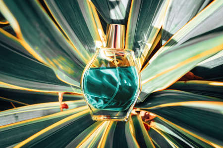 Glass transparent rounded bottle of blue perfume lying in tropical leaves. Top view. Perfumes and cosmetics.の写真素材